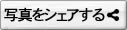 このアルバムをシェアする